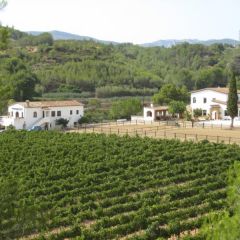 Mas Arag� (Tarragona)