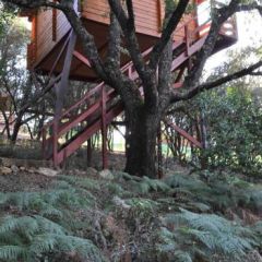 Eco Lodge De Cabaeros (Ciudad Real)