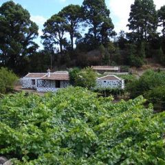 Finca El Miradero (Tenerife)