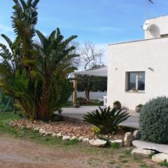 Sa Caseta D'es Pla (Baleares)