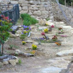 Serveis Rurals mb (Lleida)