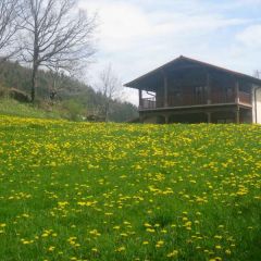 Borda Martinea (Navarra)