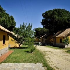 Camping Vejer (Cdiz)