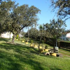 Dehesa Tres Riveros (C�ceres)