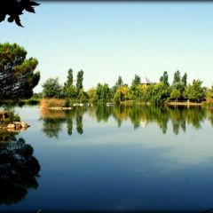Yeguada Senillosa (Girona)