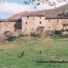 Casa Rural Talamo (Burgos)
